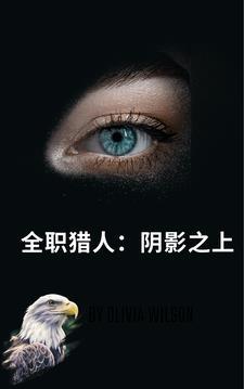 全职猎人:阴影之上 全职猎人:阴影之上